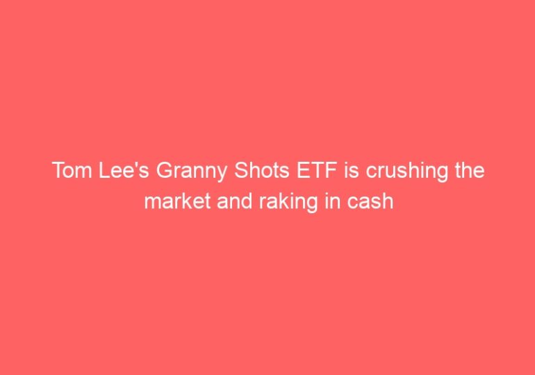 Tom Lee's Granny Shots ETF is crushing the market and raking in cash