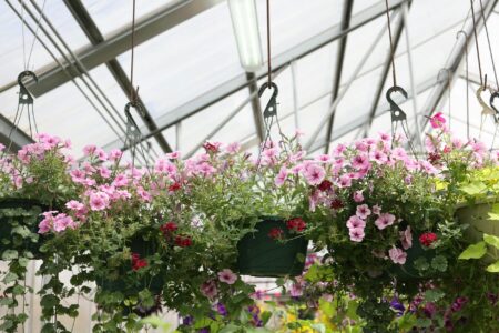 Interior view of garden center with various potted plants and flowers arranged on shelves and displays