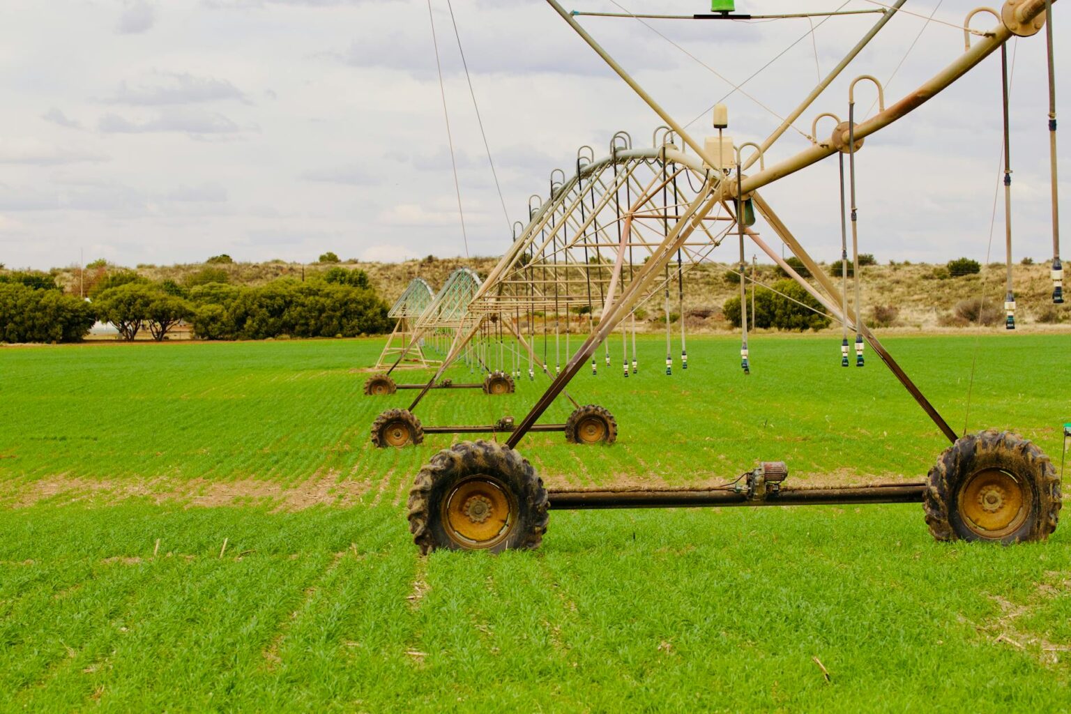 Modern irrigation system watering crops in agricultural field