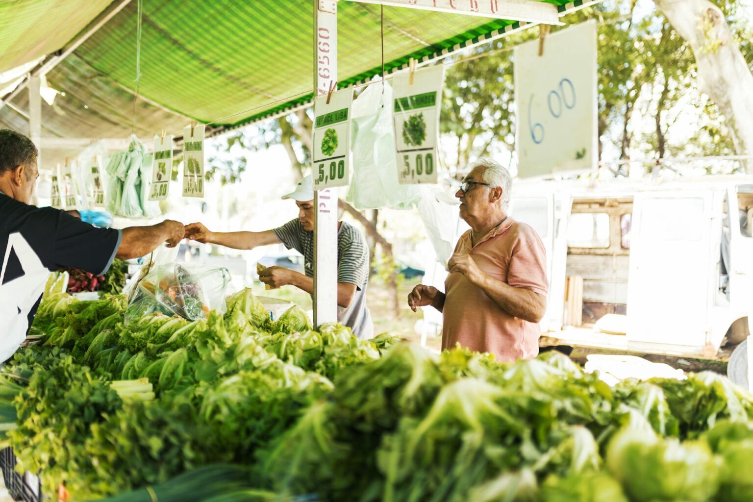 Fresh vegetables and produce displayed at outdoor farmers market stand