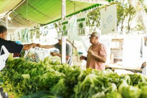 Fresh vegetables and produce displayed at outdoor farmers market stand