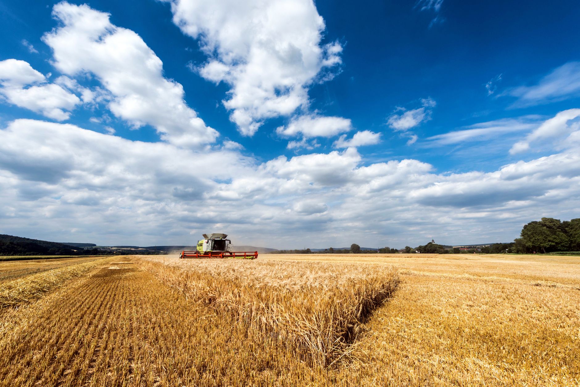 Golden wheat fields being harvested by farm equipment during summer