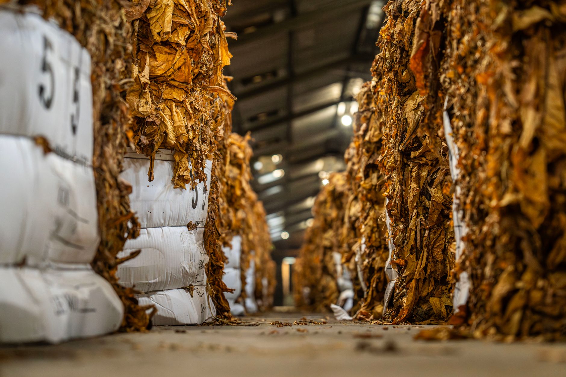 Traders monitoring commodity prices on a busy exchange floor