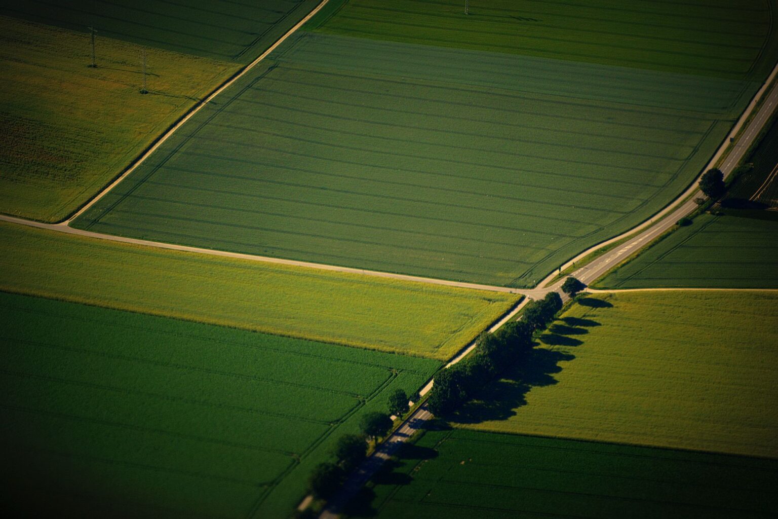 Farmland REITs Quietly Attract Inflation-Wary Institutional Allocators Aerial view of green agricultural farmland stretching across flat terrain
