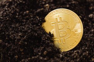 Royalty Streaming Deals Quietly Attract Income-Focused Portfolio Builders Gold mining operation representing royalty streaming assets in precious metals